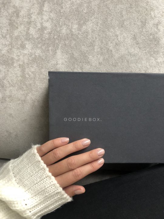 MICRO BEAUTY BLOGGER MET GOODIEBOX